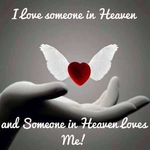 Meet your Posher, Tuszek